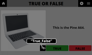 True False Binary Option