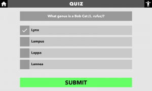 CLIO Beta Multiple Choice Quiz.png