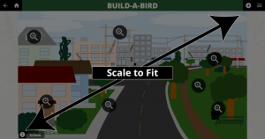 Scale to Fit - Large Screen