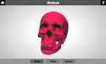 CLIO Beta 3D Object Viewer.png