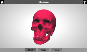 CLIO Beta 3D Object Viewer.png