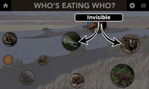 Invisible Option